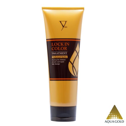 Lock-In-Color Treatment 240g